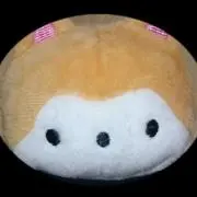 複数購入割引中❗の画像