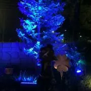 mayumin611