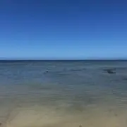 とるの画像