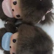 れーの画像