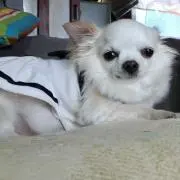 孫命
