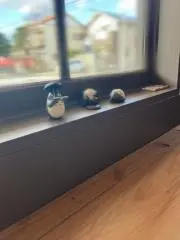 あの画像