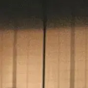のんのの画像