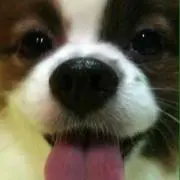 ぺこ