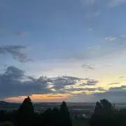 あの画像
