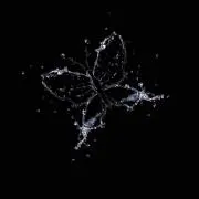 断捨離中⭐︎