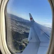 よな　※沖縄から発送の画像