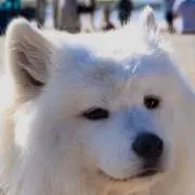 Jの画像