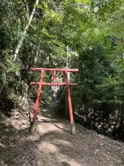 ゆうさんさんの画像