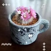 泰雅の母