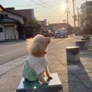涼の画像