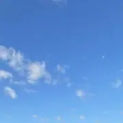 ちゃなとうの画像