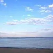 阿部晃子の画像