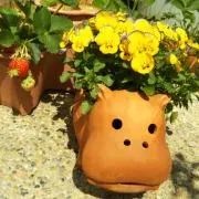 くるんころん