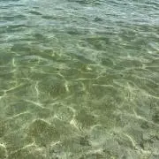 ゆー