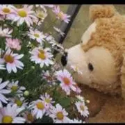 りーちゃん
