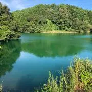 タチャ