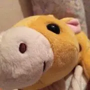 ソイヤ