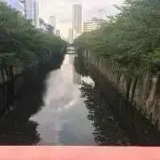 ゆ★の画像