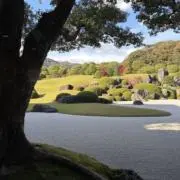 Runyの画像