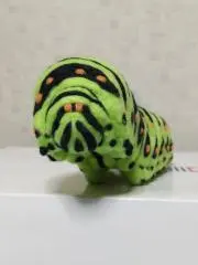 アンコウの画像