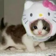 みらいちゃんの画像