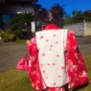 こちこう