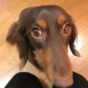 クッキー♡
