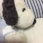 スヌーの画像