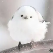 M☆☆N