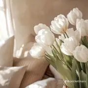 ritz22255の画像