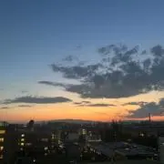けんの画像