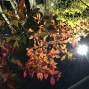 断捨離⭐︎abcの画像