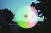 t.y