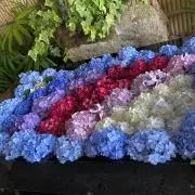 にょん:プロフ確認の画像