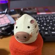 蜜柑