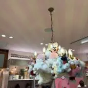 ずんの画像