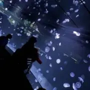 あお⭐︎匿名配送の画像