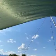 ハスキーの画像