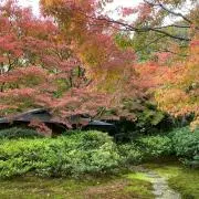 佐藤の画像