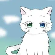 松にゃんの画像