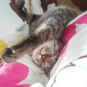 toco☆toco