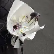 meeeの画像