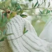 菜の画像