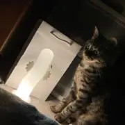 NA。の画像