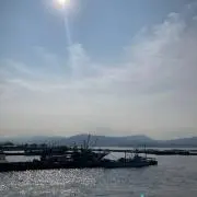 てるの画像