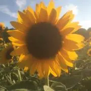 ☆あー。