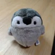 ぺんぎんの画像