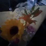 叶の画像