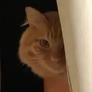 ともきぁの画像